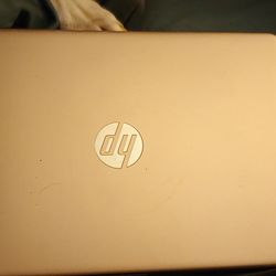 hp laptop and printer 