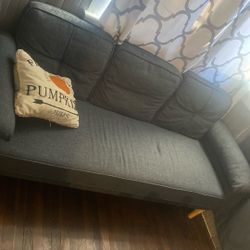 Small Couch 
