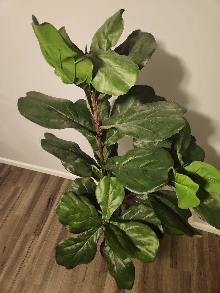 Faux Fiddle Leaf Plant for Sale in Waldorf, MD OfferUp