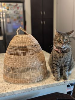 Ikea lampshade