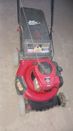 Gas Lawnmower With Bag