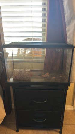 Turtle tank