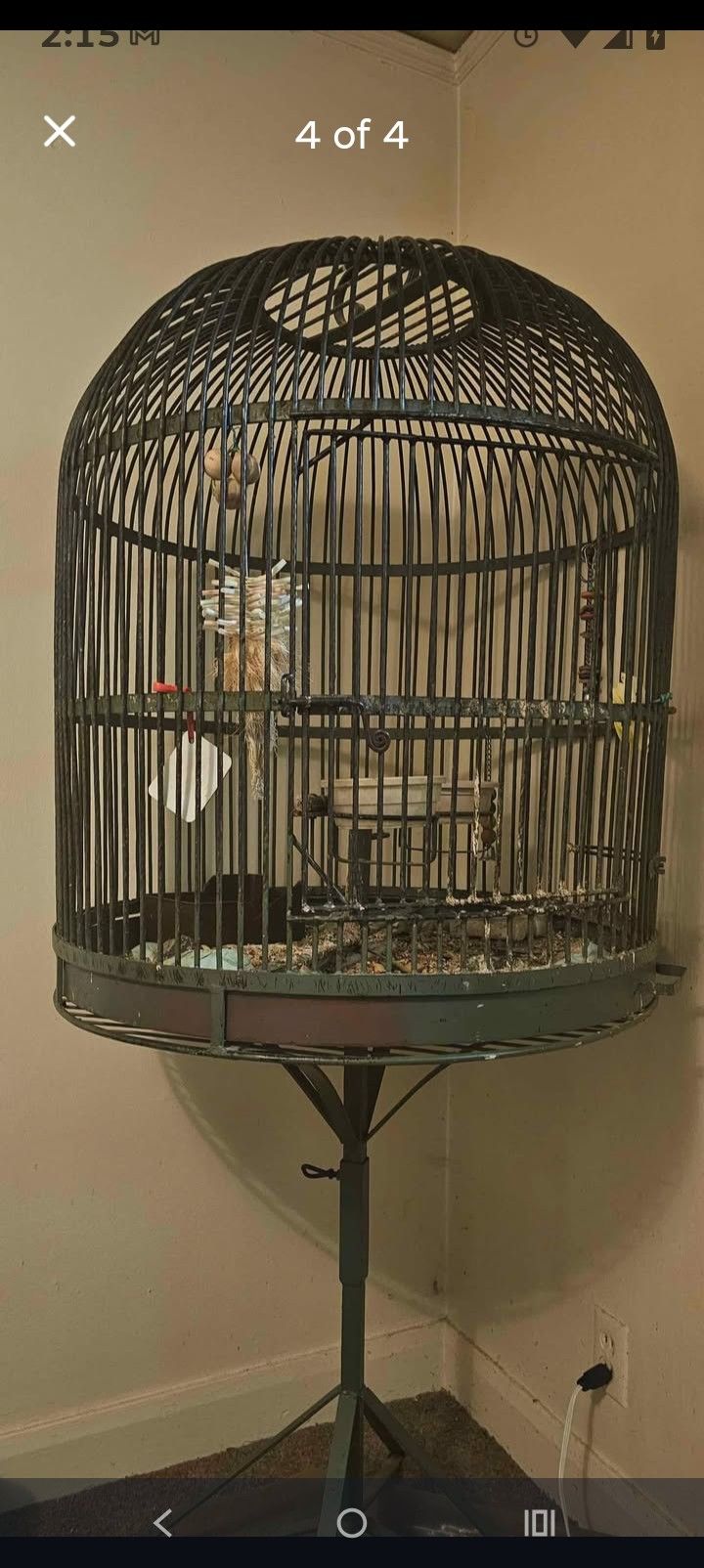 Antique Steel Parrot Cage. 