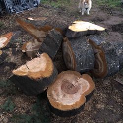 CHERRY Hardwood Smoker Firewood Fire Wood
