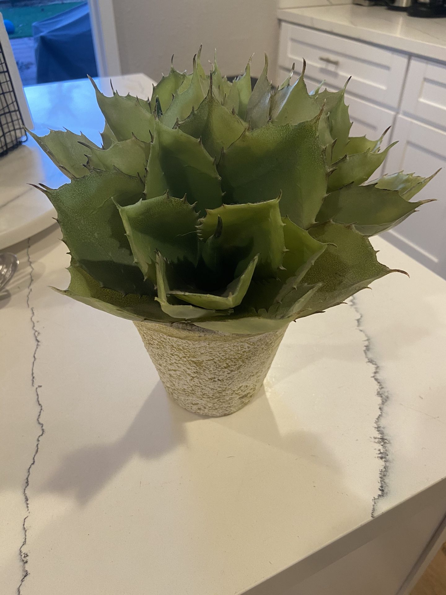 Fake Succulent