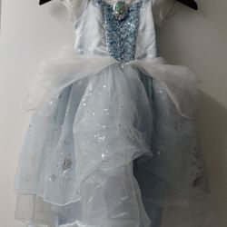 Cinderella  Halloween Costume 