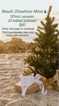 Beach Christmas minis