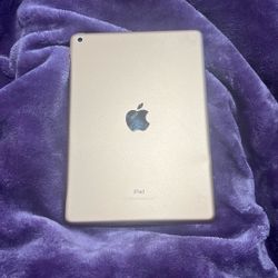 6th Gen iPad 