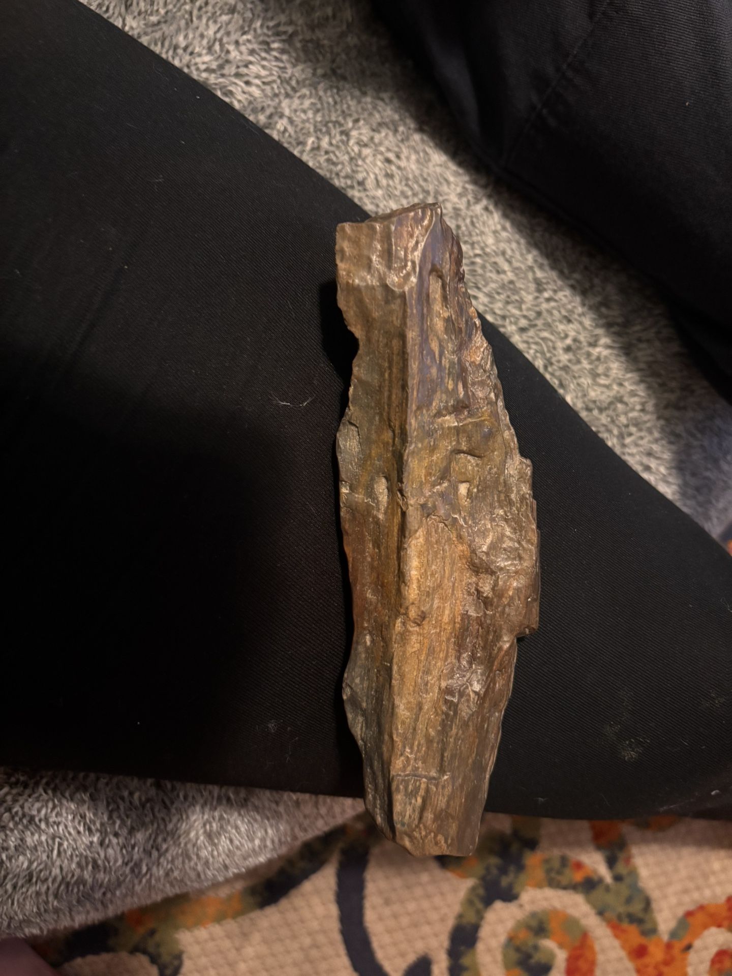 Tektite, Not Petrified Wood