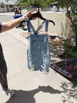 Overalls (Women's Size Large)