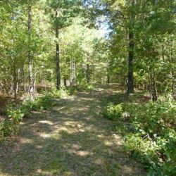 Tennessee 5 Acres For Sale 
