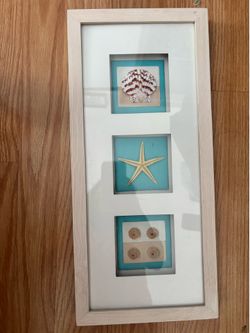 Sea shells- Frame