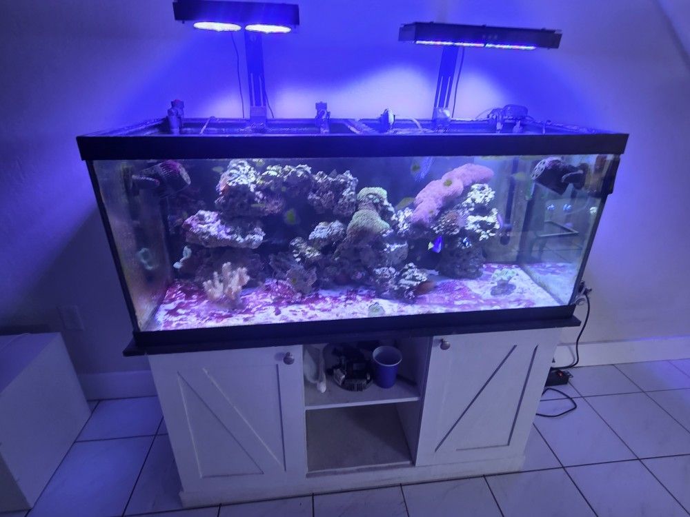Aquarium