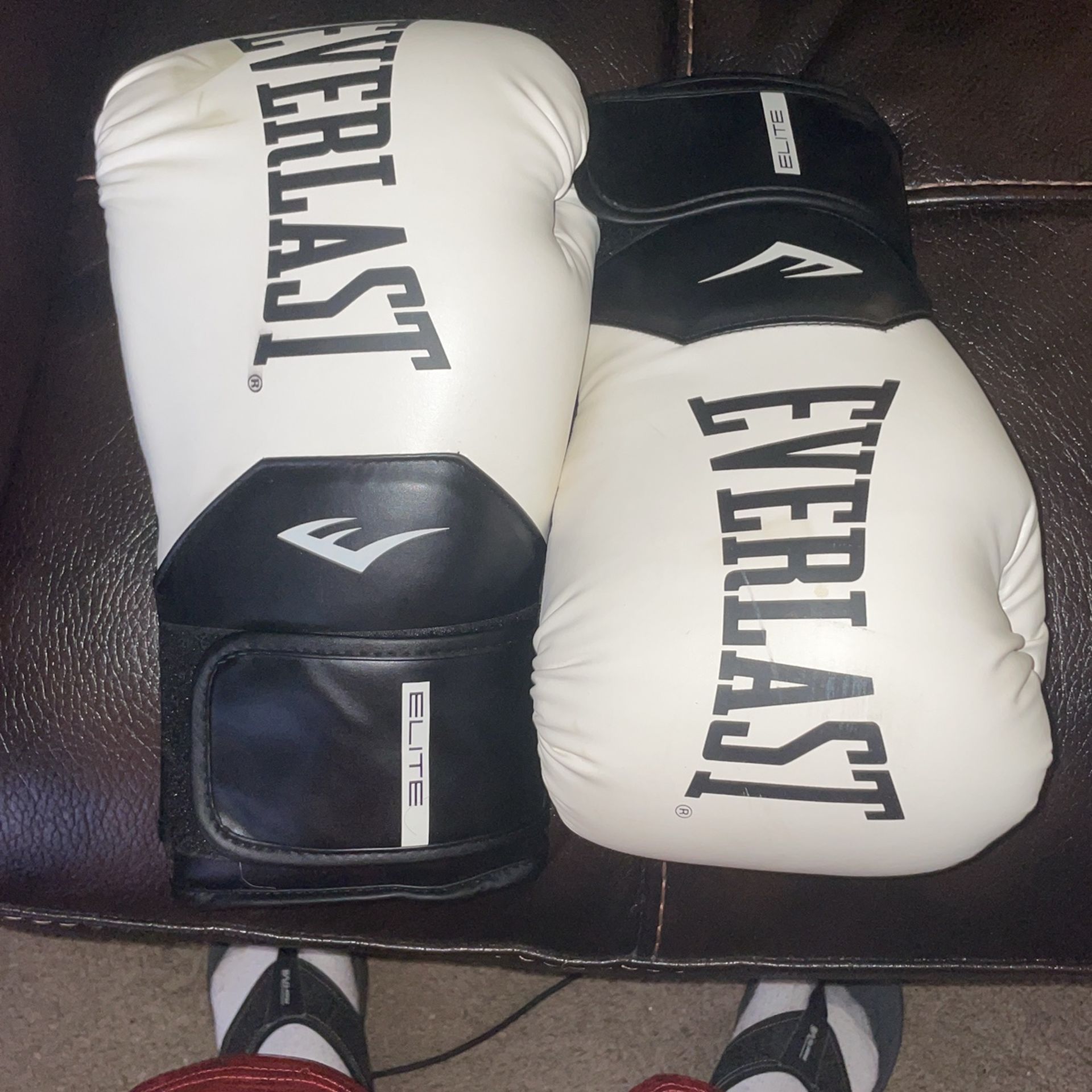 Everlast Boxing Gloves 16oz