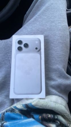 17 pro max silver