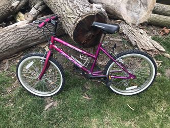 Girl Bicycle In Good Condition A Little Detail Is The Seat And Handles But Everything Is Good