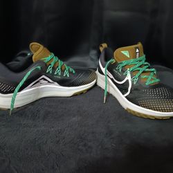 Nike Pegasus trail 4 Running 