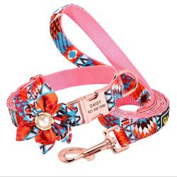 Luxury Dog Leash & Collar 