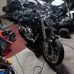 Stickers- Harley Davidson for Sale in Pico Rivera, CA - OfferUp