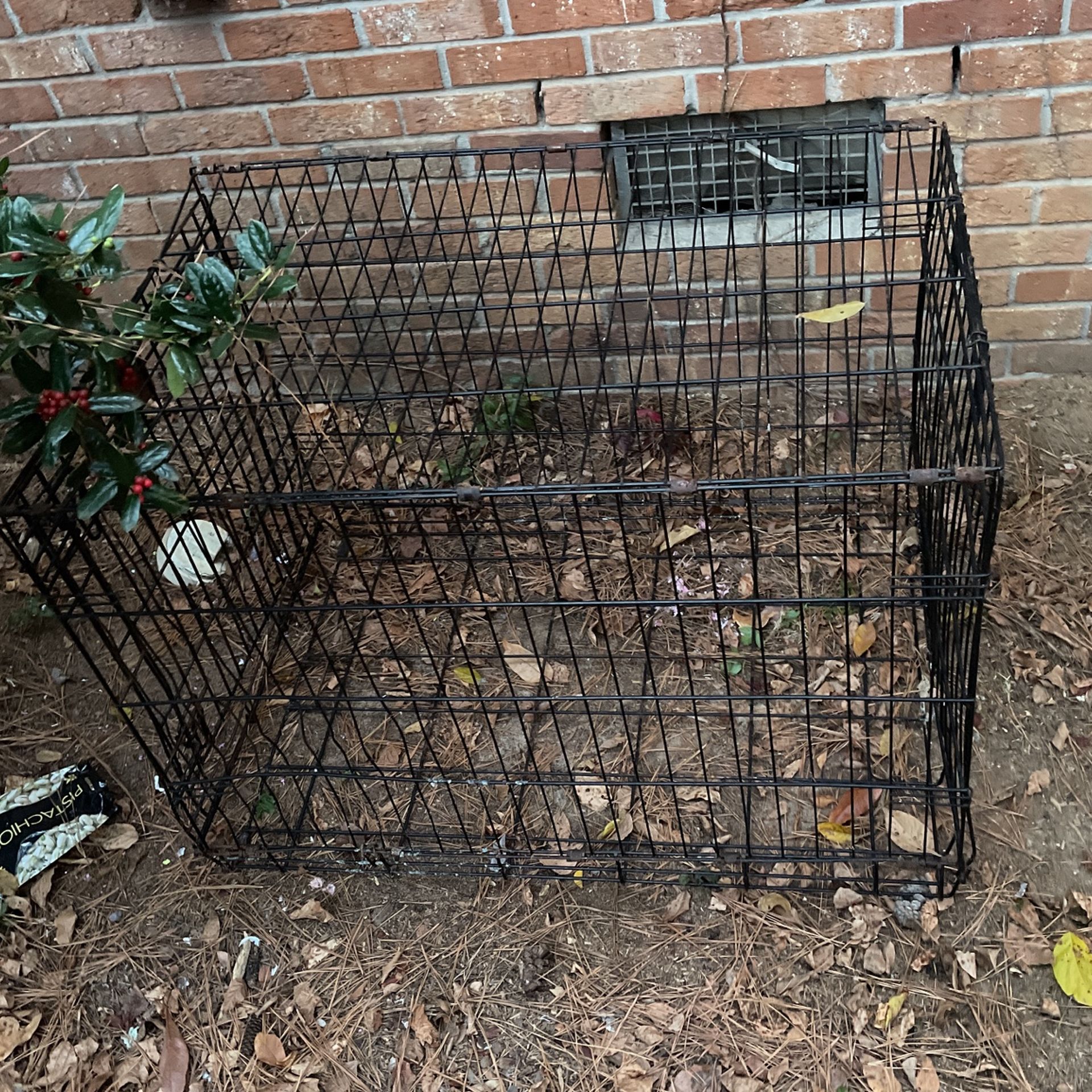 Dog Cage