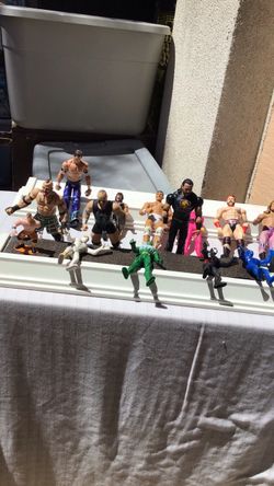 Collectible vintage WWF/WWE action figures