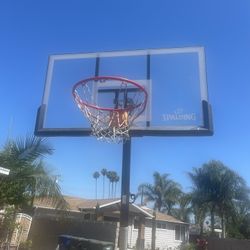 Spalding Basketball Court 