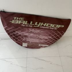 The Original Balyhoop Net For Sale Great Condition Letting It Go For 125$