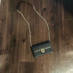 Gucci Purse 