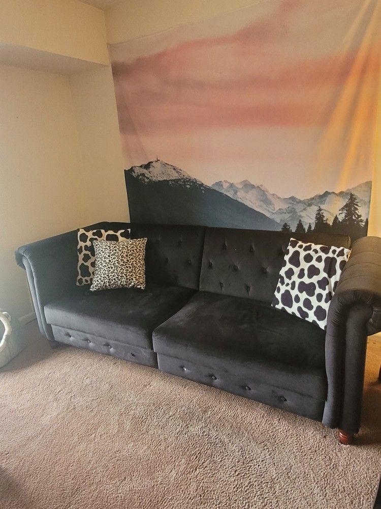 Black Velvet Sleeper Sofa – $100