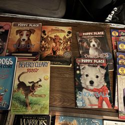 Dog And Cat  Story Books 