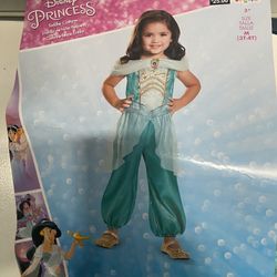 New Princess Jasmine Costume