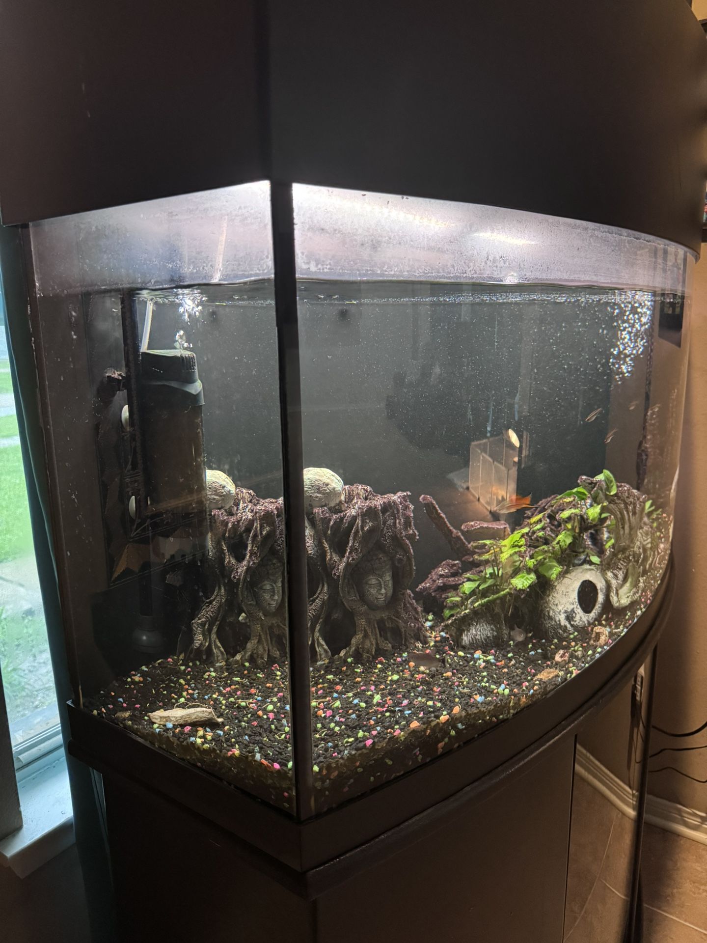 Aquarium