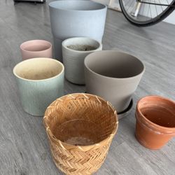 Plant Pots