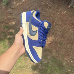 (SIZE 8.5) Women's Nike dunks 