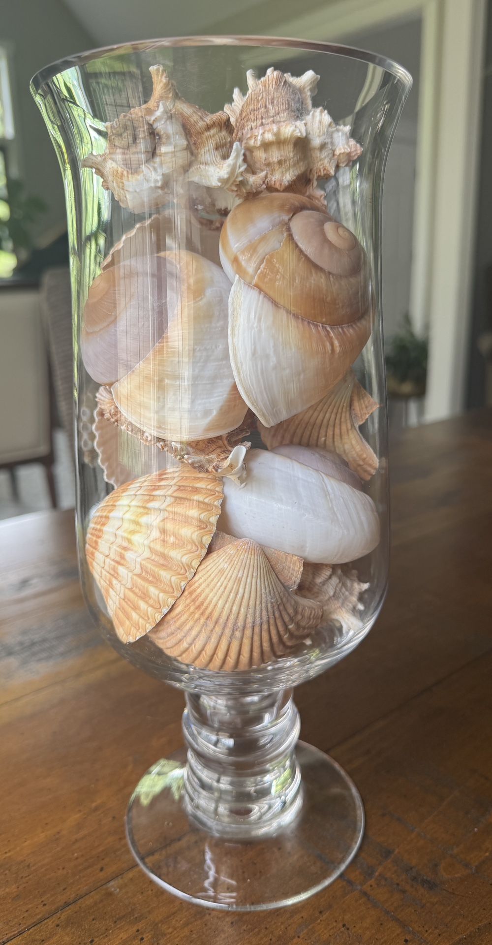 Decorative Glass Vase With Large Shells