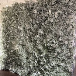 Babies Breath Flower Wall 