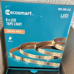 ECOSMART Indoor LEDs