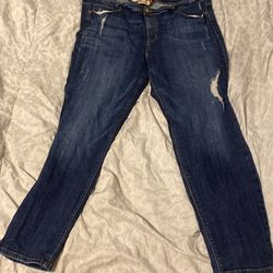 Jeans Size 3x