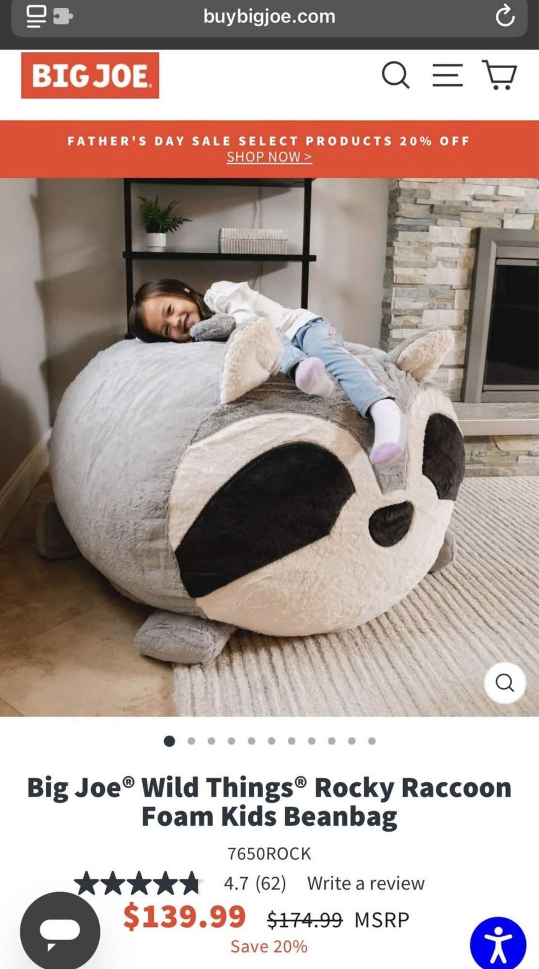 Big Joe Raccoon Bean Bag Chair