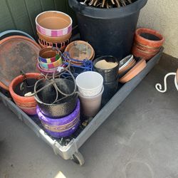 Small Pots/ Vases And Holder Plants