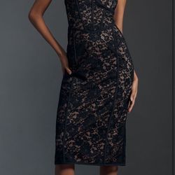 Anthropology Lace Dress Stretchy 