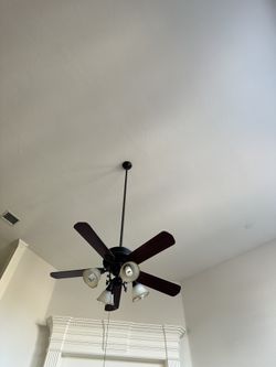 Ceiling Fan