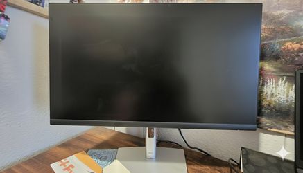 Dell Computer Monitor