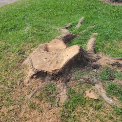 Stump Grinding 