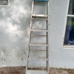 6ft Werner Step Ladder 