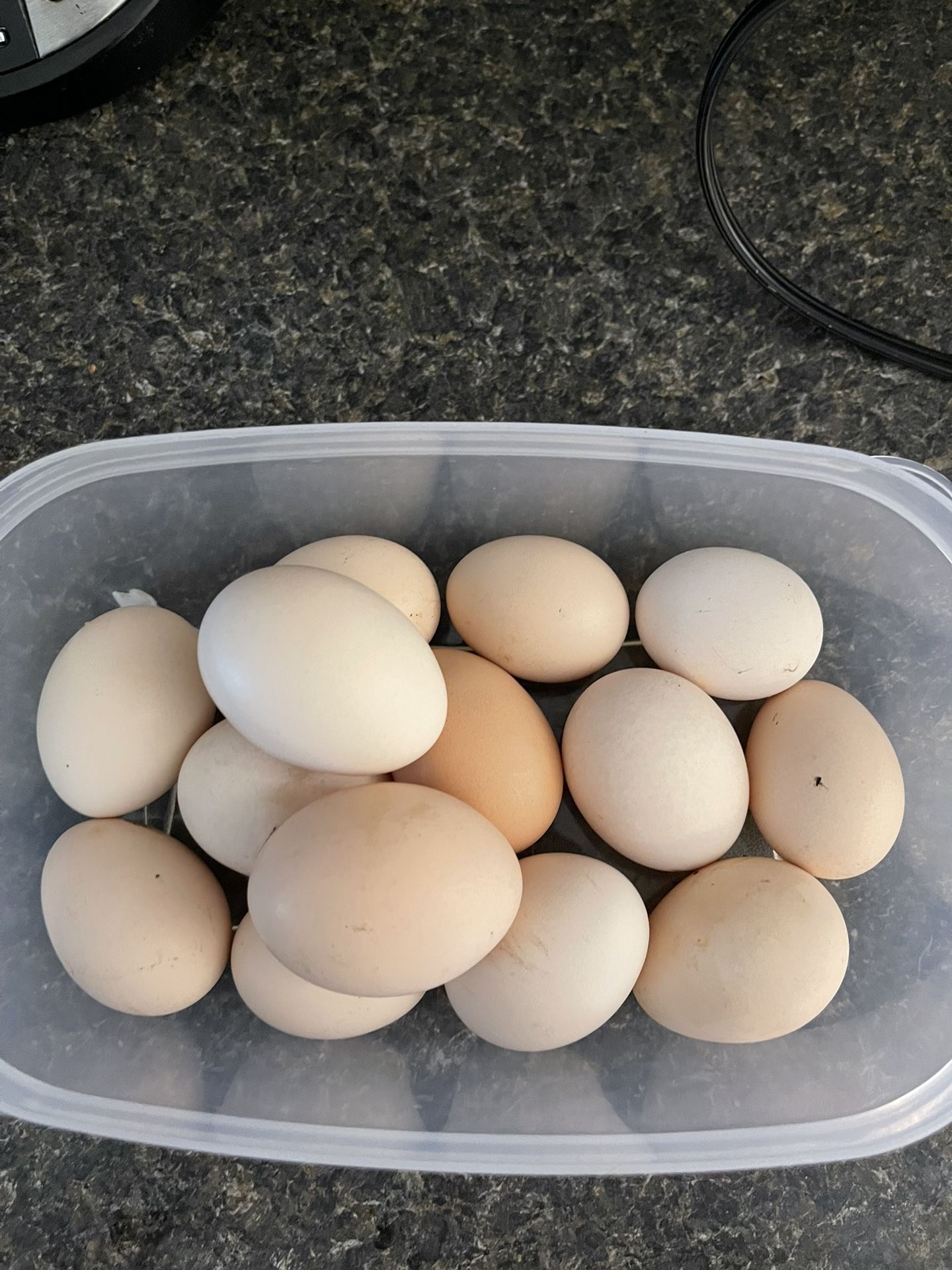 Eggs