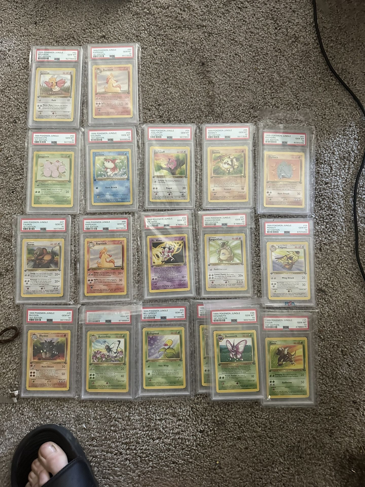 1st Edition Jungle PSA 10