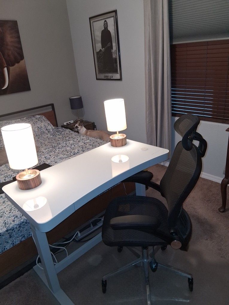 Stand Up Desk, Chair, And Chair Matt