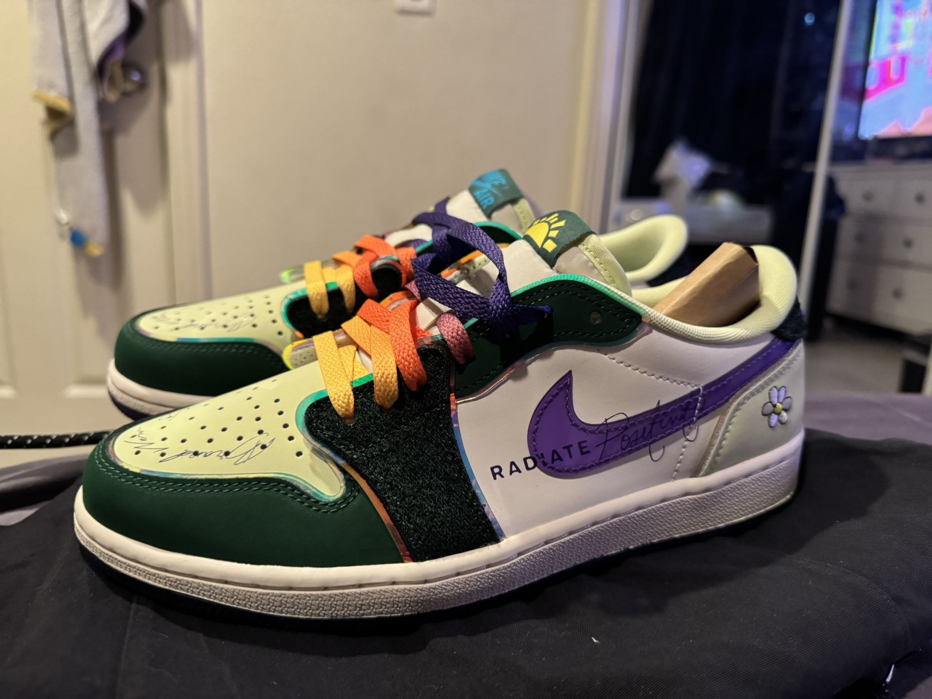 Brand New Nike Jordan 1 Lows
