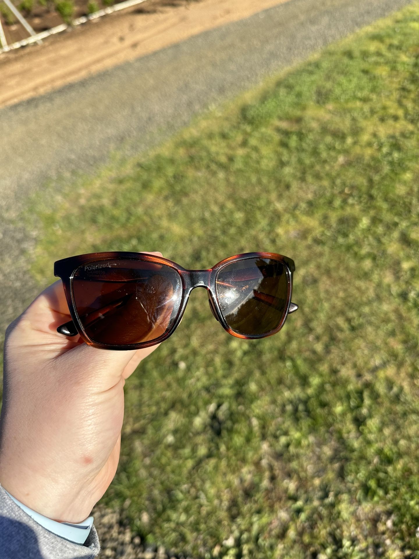 Smith Polarized Sunglasses